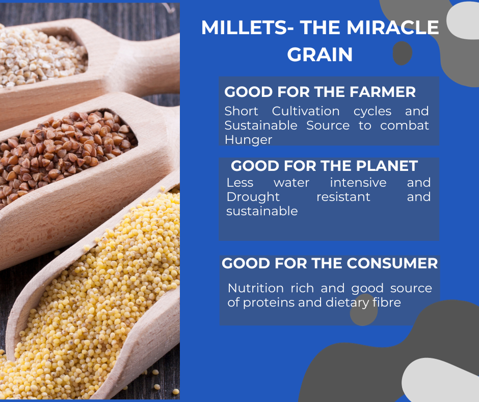 Ancient Grains: The Sustainable Superfoods Helping Heal the Planet