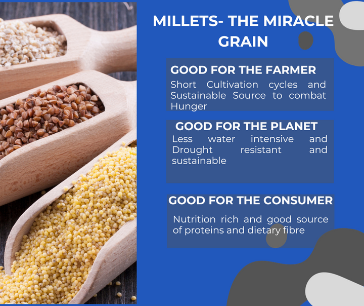 Ancient Grains: The Sustainable Superfoods Helping Heal the Planet